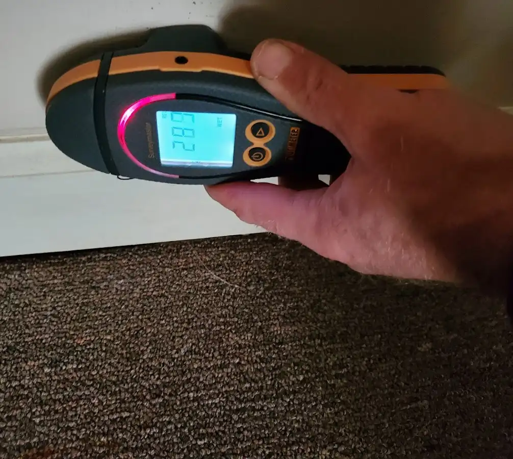 Moisture detection at baseboard during Sewage Cleanup & Sanitation in Nixa